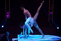 DSC09049 - Bernhard Saalfeld