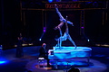 DSC09050 - Bernhard Saalfeld