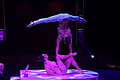 DSC09056 - Bernhard Saalfeld