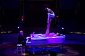 DSC09057 - Bernhard Saalfeld