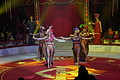 DSC09175 - Bernhard Saalfeld