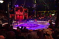 DSC06113 - Bernhard Saalfeld
