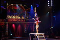 DSC06412 - Bernhard Saalfeld