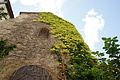 DSC06637 - Bernhard Saalfeld