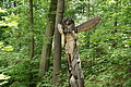 DSC06763 - Bernhard Saalfeld