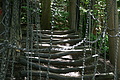 DSC06765 - Bernhard Saalfeld
