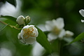 DSC06778 - Bernhard Saalfeld
