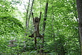 DSC06779 - Bernhard Saalfeld