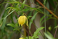 DSC06781 - Bernhard Saalfeld