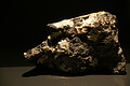 DSC06787 - Bernhard Saalfeld