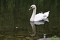DSC06794 - Bernhard Saalfeld