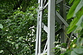 DSC06800 - Bernhard Saalfeld