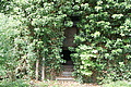 DSC06816 - Bernhard Saalfeld