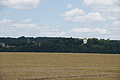 DSC06845 - Bernhard Saalfeld