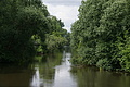 DSC06901 - Bernhard Saalfeld