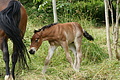 DSC06913 - Bernhard Saalfeld