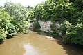 DSC06940 - Bernhard Saalfeld