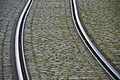 DSC06984 - Bernhard Saalfeld