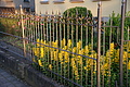 DSC06986 - Bernhard Saalfeld