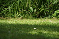 DSC07120 - Bernhard Saalfeld