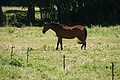 DSC07150 - Bernhard Saalfeld