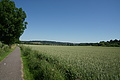 DSC07153 - Bernhard Saalfeld