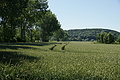 DSC07156 - Bernhard Saalfeld