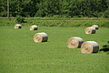 DSC07157 - Bernhard Saalfeld