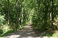 DSC07181 - Bernhard Saalfeld