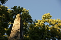 DSC07206 - Bernhard Saalfeld