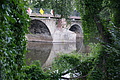 DSC07245 - Bernhard Saalfeld
