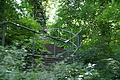 DSC07261 - Bernhard Saalfeld