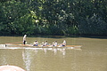 DSC07271 - Bernhard Saalfeld