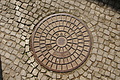 DSC07361 - Bernhard Saalfeld