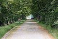 DSC07371 - Bernhard Saalfeld
