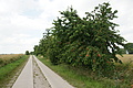 DSC07379 - Bernhard Saalfeld