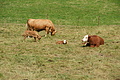 DSC07380 - Bernhard Saalfeld