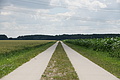 DSC07387 - Bernhard Saalfeld