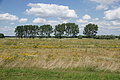 DSC07393 - Bernhard Saalfeld