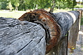 DSC07395 - Bernhard Saalfeld