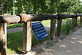 DSC07396 - Bernhard Saalfeld