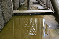 DSC07405 - Bernhard Saalfeld