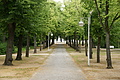 DSC07418 - Bernhard Saalfeld