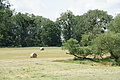 DSC07441 - Bernhard Saalfeld