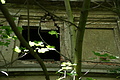 DSC07447 - Bernhard Saalfeld