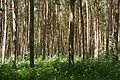 DSC07459 - Bernhard Saalfeld