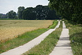 DSC07463 - Bernhard Saalfeld