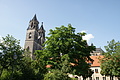 DSC07590 - Bernhard Saalfeld