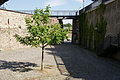 DSC07592 - Bernhard Saalfeld