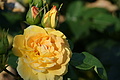 DSC07662 - Bernhard Saalfeld